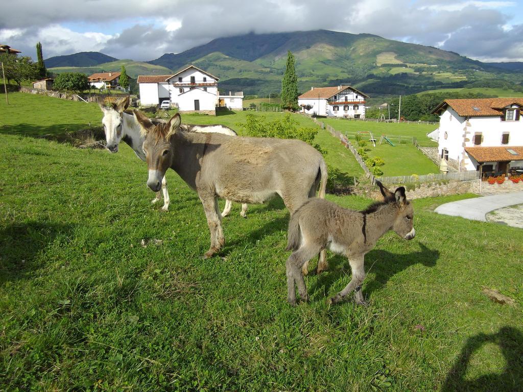 Casa Rural Gananea Zuaztoy de Azpilcueta Δωμάτιο φωτογραφία